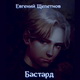 Евгений Щепетнов. Бастард. Аудио