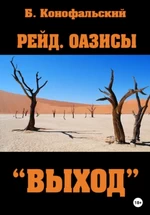 Рейд. Оазисы. Книга 3. «Выход». Борис Конофальский