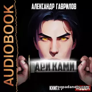 Александр Гаврилов. Ари Ками. Книга 1. Аудиокнига