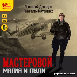 [Image of Обложка аудиокниги Мастеровой. Магия и пули]