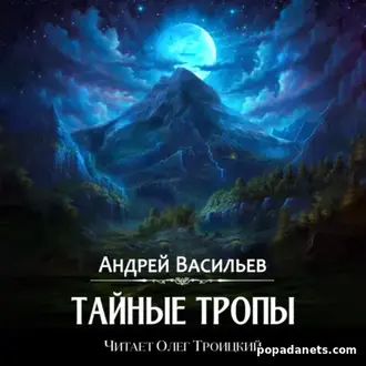 Аудиокнига Андрей Васильев. Тайные тропы. Агентство ключ 2
