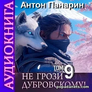 Не грози Дубровскому! Том IX. Антон Панарин. Аудиокнига