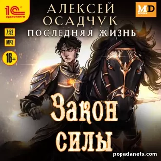Аудиокнига Алексея Осадчука Закон силы Аудиокнига Алексея Осадчука Закон силы