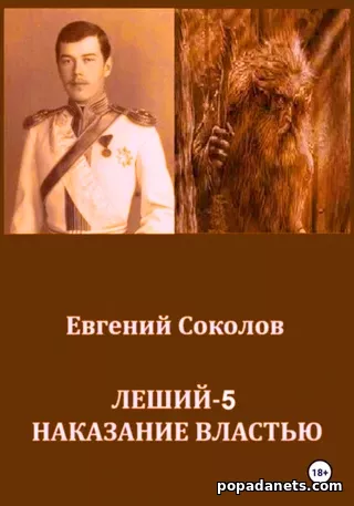 Леший 5. Наказание Властью. Евгений Соколов