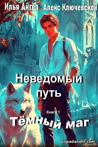Книга Ильи Ангела Тёмный маг. Книга 1. Неведомый путь