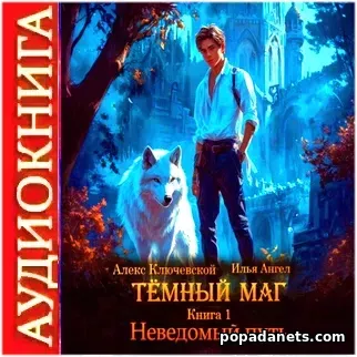 Аудиокнига Ильи Ангела Тёмный маг. Книга 1. Неведомый путь