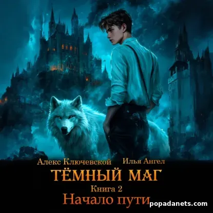 Тёмный маг. Книга 2. Начало пути