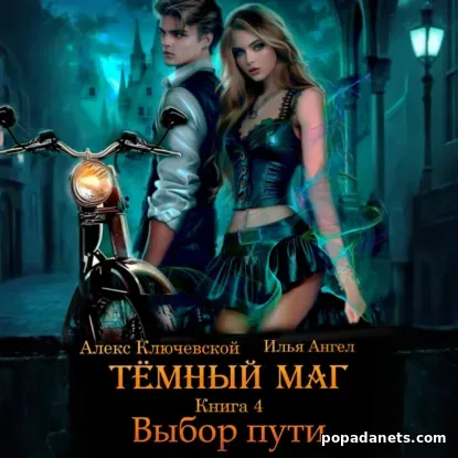 Тёмный маг. Книга 4. Выбор пути