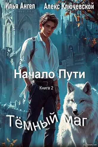Книга Тёмный Маг. Книга 2. Начало Пути. Алекс Ключевской