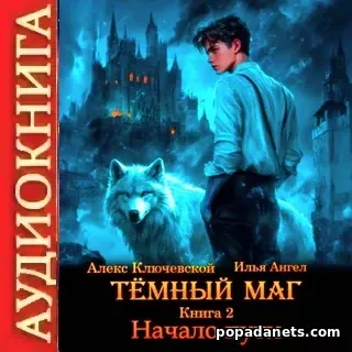 Аудиокнига Ильи Ангела «Тёмный маг. Книга 2. Начало пути»