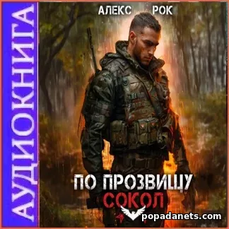 Аудиокнига Алекса Рока По прозвищу «Сокол». Том 1 Аудиокнига Алекса Рока По прозвищу «Сокол». Том 1