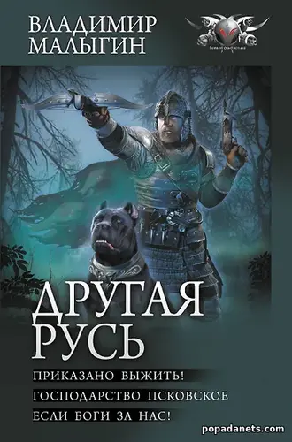 Купить Книгу Владимира Владиславовича Малыгина Другая Русь