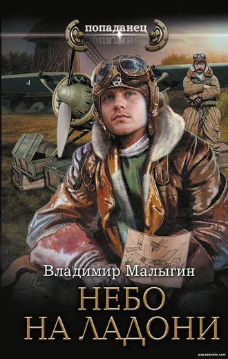 Книга Небо на ладони. Небо в кармане 2. Владимир Малыгин