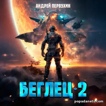 Беглец. Книга вторая