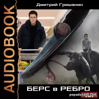 Берс – 1. Берс в ребро (аудиокнига)