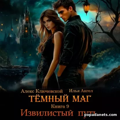 Тёмный маг. Книга 9. Извилистый путь