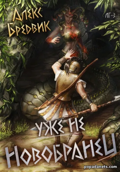 Уже не новобранец. Том 3