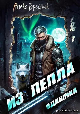 Книга Алекса Бредвика «Из Пепла. Том 1. Одиночка»