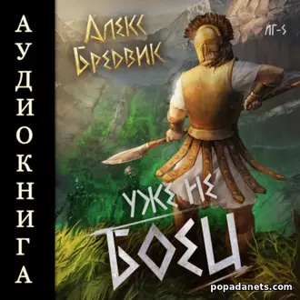 Аудиокнига Алекса Бредвика «RPG: Уже не боец. Том 5»