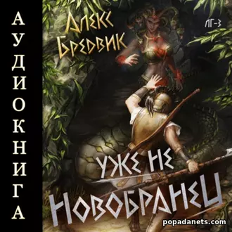 Аудиокнига Алекса Бредвика «Уже не новобранец. Том 3»