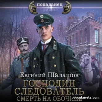 Аудиокнига Евгения Шалашова «Господин следователь. Смерть на обочине»