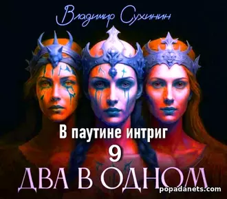 Два в одном 9. В паутине интриг. Владимир Сухинин