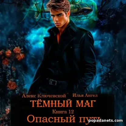 Тёмный маг. Книга 12. Опасный путь