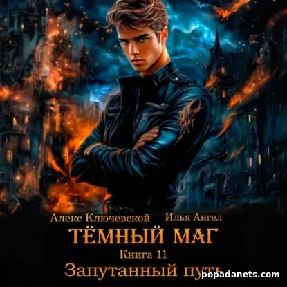 Тёмный маг. Книга 11. Запутанный путь