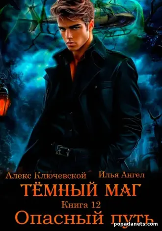 Тёмный маг. Книга 12. Опасный путь