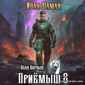 Аудиокнига Ивана Шамана «Клан Борзых 2: Приёмыш. Том 2»