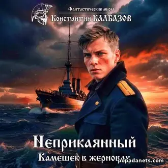 Аудиокнига Константина Калбазова Неприкаянный. Камешек в жерновах