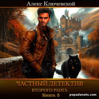 Частный детектив второго ранга. Книга 3