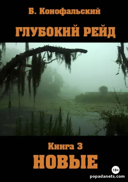 Глубокий рейд. Книга 3. НОВЫЕ