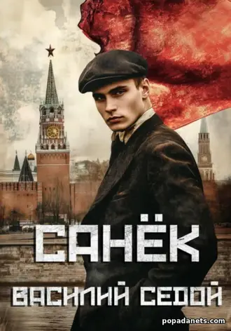 Книга Василия Седого «Санёк 1»