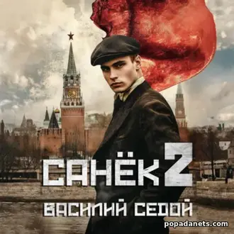 Читать книгу Василия Седого «Санёк 2»