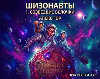 Читать Шизонавты 1. Созвездие Белочки - Алекс Гор