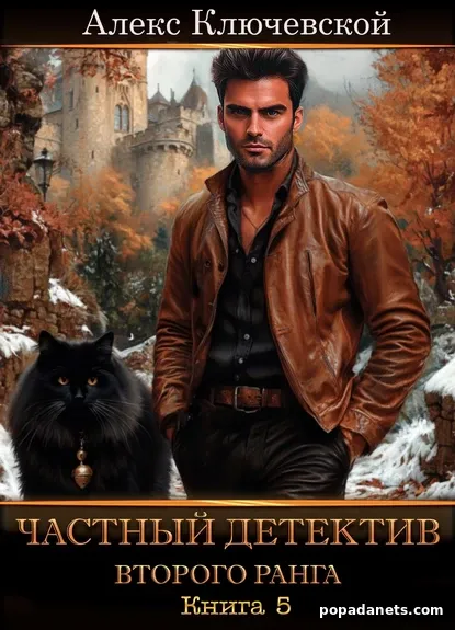 Частный детектив второго ранга. Книга 5