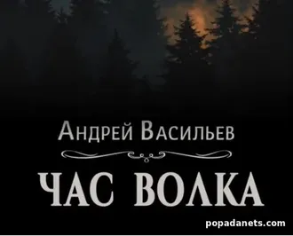 Читать Книга Андрея Васильева «Час волка»