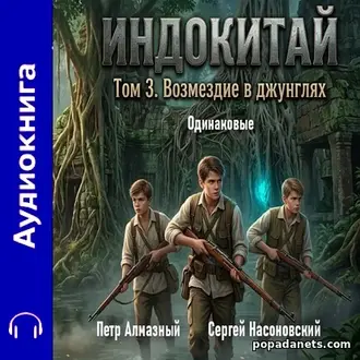 Аудиокнига Петра Алмазного, Сергея Насоновского Одинаковые 3 Индокитай