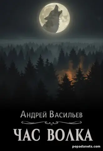 Книга Андрея Васильева «Час волка»