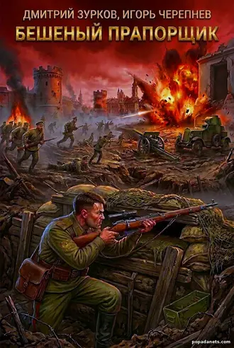 Книга Дмитрия Зуркова, Игоря Черепнева «Бешеный прапорщик»