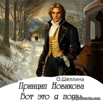 Аудиокнига «Принцип Новикова. Вот это я попал»