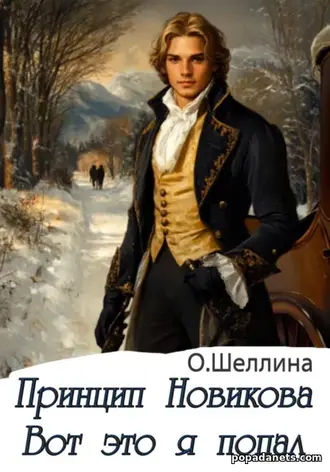 Книга «Принцип Новикова. Вот это я попал»