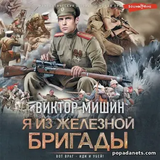Я из Железной бригады