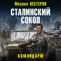 Аудиокнига «Сталинский сокол. Командарм» – Михаил Нестеров
