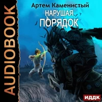 Нарушая ПОРЯДОК. Артем Каменистый. Аудиокнига