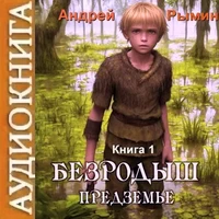 Американец. Хозяин Севера. Роман Злотников. Аудиокнига